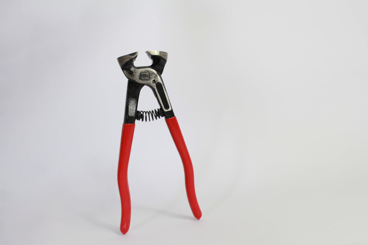 SQUID MOSAIC KIT