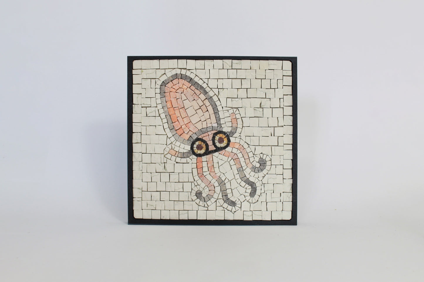 SQUID MOSAIC KIT